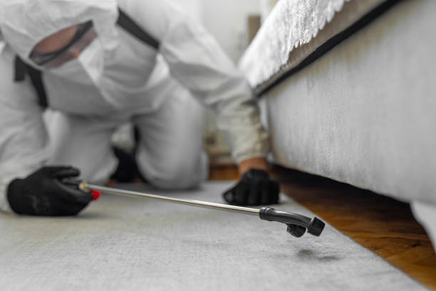 Professional Termite Control technician working in Baldwin, LA