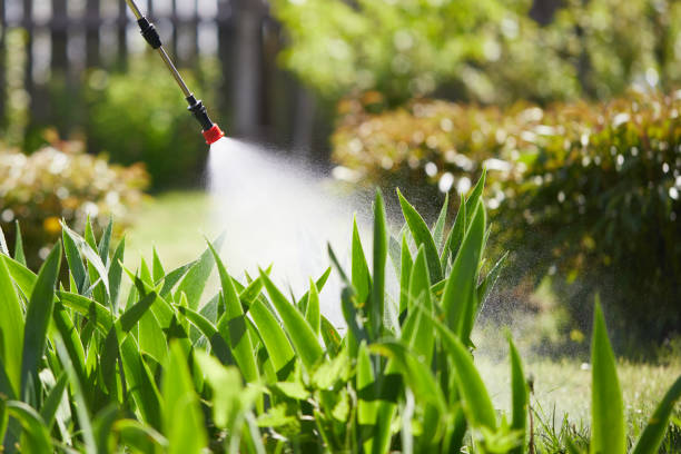 24/7 Emergency Termite Control experts in Baldwin, LA