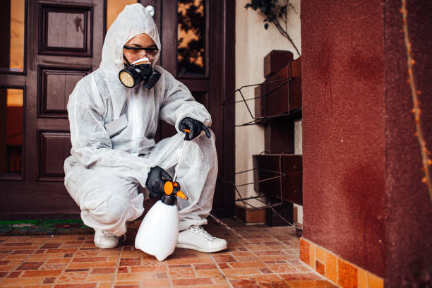 Reliable Termite Control contractor in Baldwin, LA by Nex Pest Control