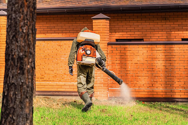Top rated local Termite Control specialists in Baldwin, LA